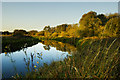 River Nene Higham Ferrers