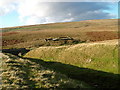 Sheepfold and Dry Gill