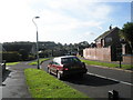 Lamppost in Elderberry Way