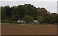 Greenhouse near Crowhurst