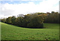 Wooded re-entrant by the 1066 Country Walk