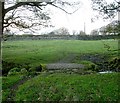 Bridleway crossing Common Sike