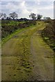 Track to Green Lane Cottages