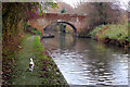 Looking east to bridge 36, Grand Union Canal