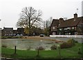 The Village Pond, Aldbury