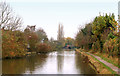 Looking west along the Grand Union Canal towards bridge 37