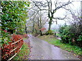 Wet lane at Bryn-Bran