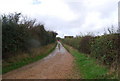 Track on the edge of Bexhill