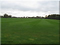 Manicured field at Dragons Green