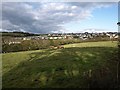 Pasture at Wembury