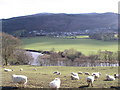 The river Dee and Corwen