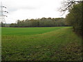 Open field with Newbuildings Plantation on the right