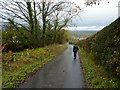 Ignoring the rain on Stopper Lane, near Rimington