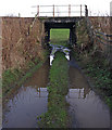 Waterlogged , Netherton Farm