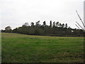 Greenstreet Furzefield from Pound Lane Shipley