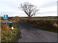 The Lane down to Healey Mill