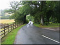 Lane to Trout Fishery