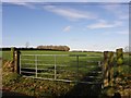 Freemanstown Townland