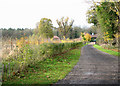 Driveway to Hall Farm Barns