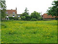 View across meadow to houses on Felderland Lane