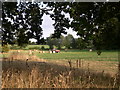 Tractor framed by live tree, Haughley bends