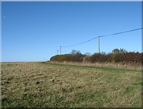 SP9511 : Power Lines near Aldbury by Gerald Massey
