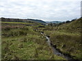 Stream flowing to Upper Black Moss Reservoir