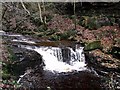 Kilsyth, up the Garrell Burn