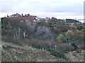 Former Site of Holbeck Hall Hotel