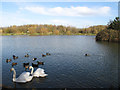 Bransholme Fishing Lake