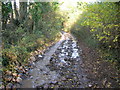 The hill on the Byway becomes a stream