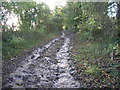 Coalpit Lane after heavy rain