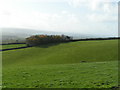 Fields above Caseberry