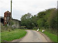 Christmas lunch on the road at Parsonage Farm, Arpinge