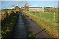 Road past Burrow, near Zeal Monachorum