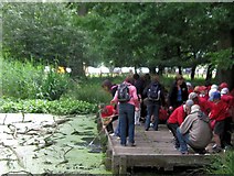 SP9713 : School Party at the pond near the Bridgewater Monument, Ashridge by Chris Reynolds
