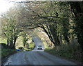 2009 : Minor road heading for Mells