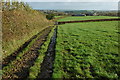 Bridleway to Wootton Top