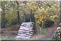 Log piles in Hurst Wood