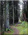 J3588 : Track, Woodburn Forest by Rossographer