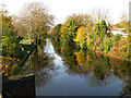 Autumn colours on the canal at Hythe