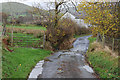 Minor road passing Capel Blaencaron