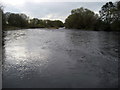 River Tees near Merrybent