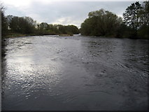 NZ2314 : River Tees near Merrybent by Chris Heaton