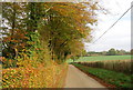 TQ4935 : Autumn colours by the Wealdway by N Chadwick