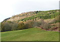 Woods and pasture above Cuil