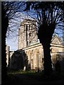 St Peter and St Paul, Shepton Mallett