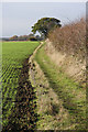 Footpath near Hunston Green