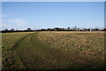 TL9067 : Farm track across field by Bob Jones