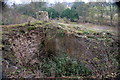 Harmby Quarry kilns